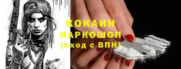 гидра Алексеевка