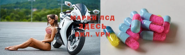прущие грибы Абаза