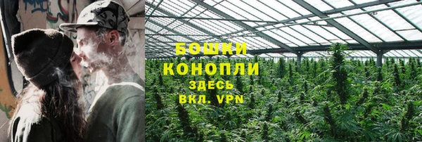 прущие грибы Абаза